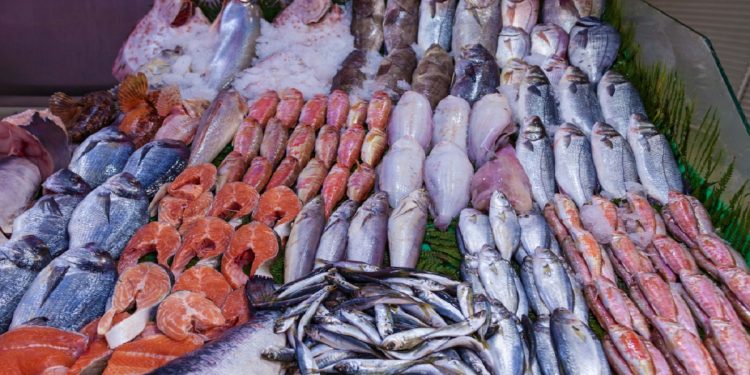 المغاربة كيتسناو فالأسعار تنزل زادو في الحوت