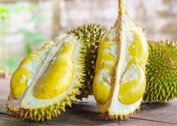 بسباب الريحة ديال واحد الفاكهة طائرة دارت هبوط اضطراري