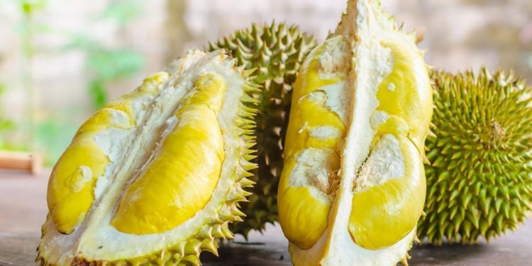 بسباب الريحة ديال واحد الفاكهة طائرة دارت هبوط اضطراري