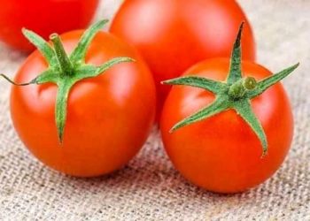 وزير الفلاحة..90 ألف طن من مطيشة كتستهلك فرمضان