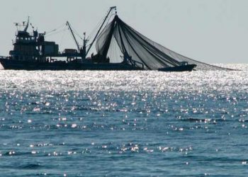 روسيا على بعد خطوات من توقيع اتفاقية الصيد مع المغرب.. وأوروبا تواصل المفاوضات