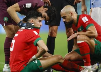 الاسود يزينون نهائيات الكؤوس الاروبية
