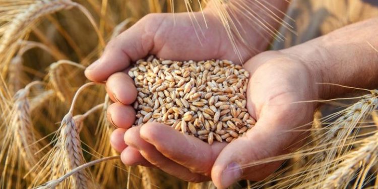 الحكومة المغربية كتستعرض التدابير المتخذة لتعزيز الأمن الغذائي في المملكة