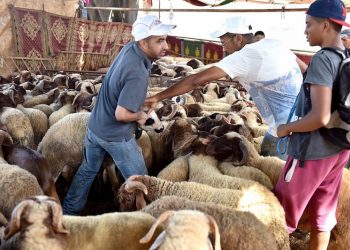 وزارة الأوقاف والشؤون الإسلامية تعلن عن أول أيام عيد الأضحى بالمغرب