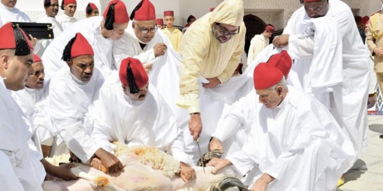 الملك محمد السادس يقضي “عيد الأضحى ” بشمال المملكة