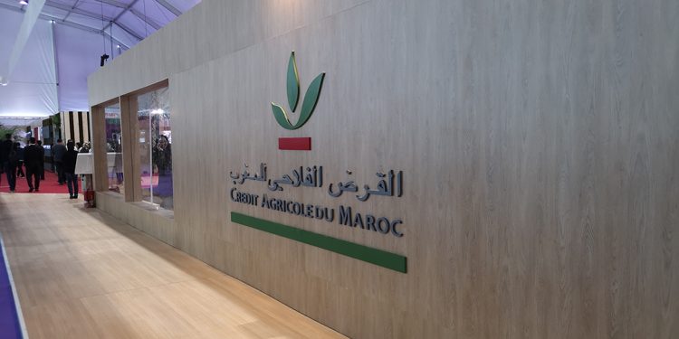 القرض الفلاحي ينخرط في تمويل قطاع صناعة السيارات