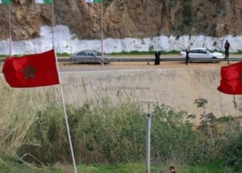 خبير مصري يشيد بتطلع الملك لعلاقات طبيعية مع الجزائر وفتح الحدود بين البلدين