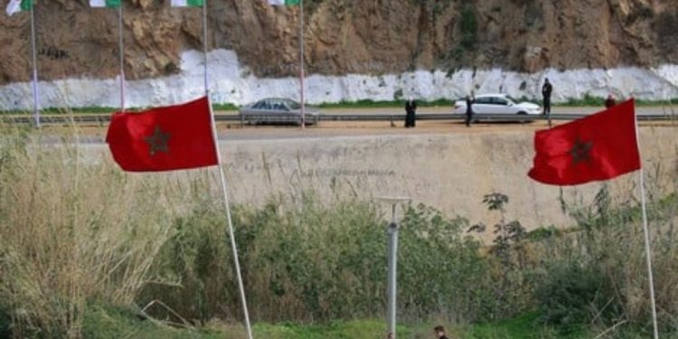 خبير مصري يشيد بتطلع الملك لعلاقات طبيعية مع الجزائر وفتح الحدود بين البلدين