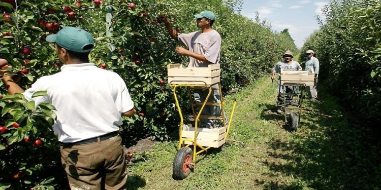 عراقيل تواجه بروتوكول تشغيل 400 عامل مغربي بالبرتغال ومصيره غير معروف
