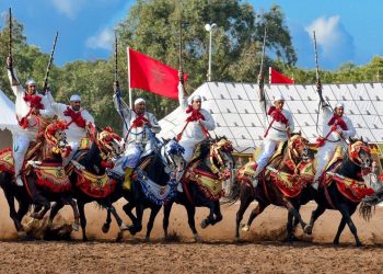إطلاق منصة ثقافية للتعريف بالتراث المغربي والكتب والمهرجانات الثقافية