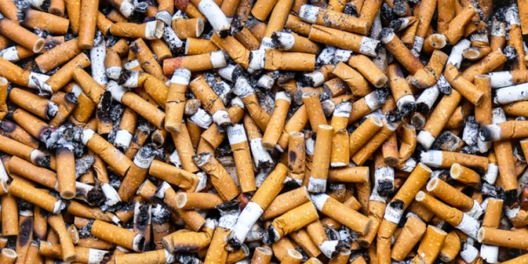 هبوط معدلات التدخين عالميا وارتفاع نسبة الحماية من الأضرار ديالو.. (منظمة الصحة)