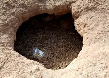 مصرع عامل متأثر بالاختناق داخل مطمورة بالقليعة وهو كيحاول يَعْتَقْ صاحبو