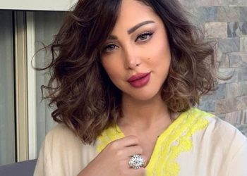 بعد استفزازها .. رد بسمة بوسيل على إحدى معجبات طليقها