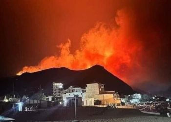 الجزائر…اندلاع حرائق بغابات حدا تجمعات سكنية