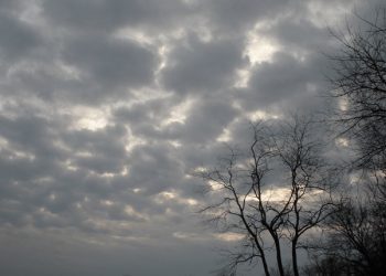 طقس الأربعاء.. جو معتدل وسحب مصحوبة بقطرات مطرية متفرقة