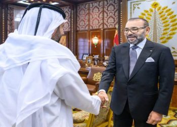 الملك يستقبل رئيس استثمارات إفريقيا وآسيا في جهاز قطر للاستثمار