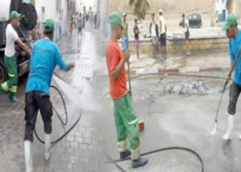 الدار البيضاء تطلق حملات تطهيرية لمنع ظهور “البق”