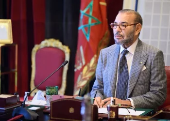 الملك محمد السادس يشيد بصداقة التشيك