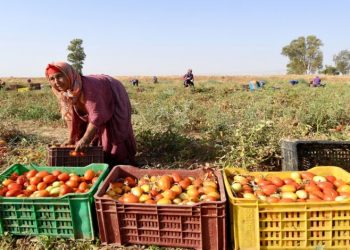 ارتفاع طفيف في أسعار المنتوجات الصناعية والطاقية