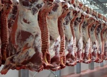 فضيحة تبادل مكاسب في صفقات مجازر