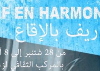 أزغنغان تحتضن الدورة الأولى لمهرجان فنون الشارع