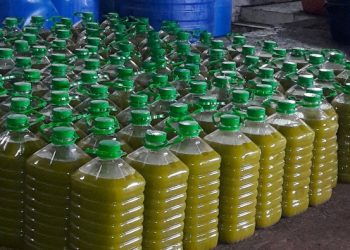 الصادرات ترفع سعر زيت الزيتون إلى مستويات غير معهودة في المغرب