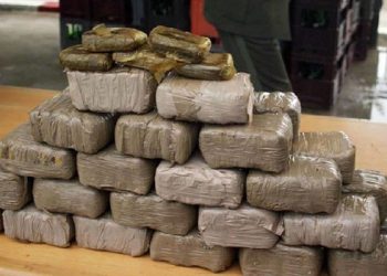 حجز طن ونصف من المخدرات بميناء طنجة المتوسط