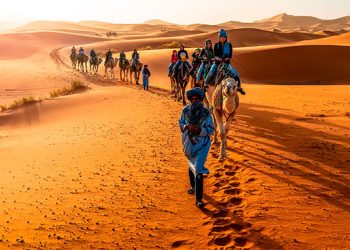 تطورات القضية الوطنية في ضوء قرارات مجلس الأمن في صلب ندوة بمراكش