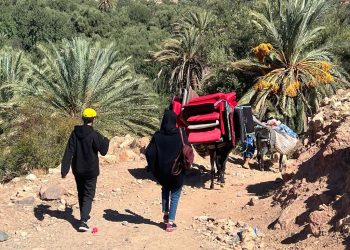 تعبئة مستمرة بتارودانت للتحديد الدقيق للمساكن المتضررة من زلزال الحوز