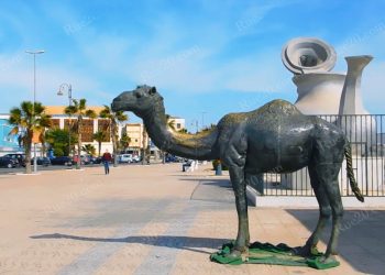 الدورة الثانية للأسبوع الأخضر لمدينة الداخلة من 15 إلى 19 نونبر الجاري