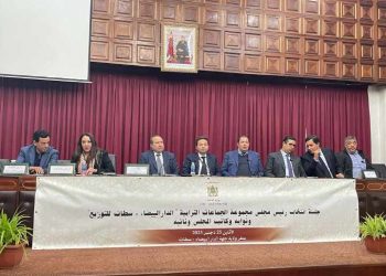 الرميلي تفوز برئاسة مجلس مجموعات توزيع الماء والكهرباء