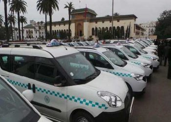 دعم جديد لمهنيي النقل والوزارة الوصية تطلق عملية التسجيل ابتداء من الأسبوع المقبل