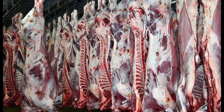 إنشاء قاعة بيع سقط جديدة بمجازر الدار البيضاء