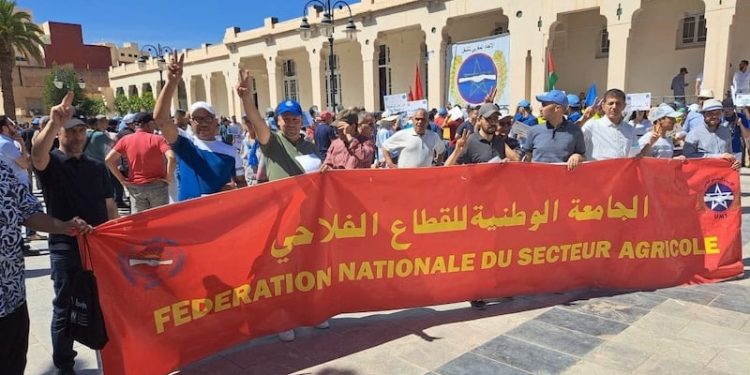 وزارة الفلاحة والصيد البحري في حوار لانتزاع فتيل “الاحتقان القطاعي”