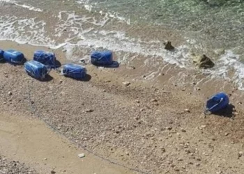 بحر المحمدية يخرج كمية مهمة من المخدرات