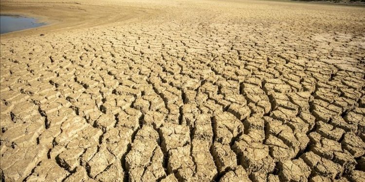 المغرب يشرع في تطبيق إجراءات عاجلة تهم الجفاف