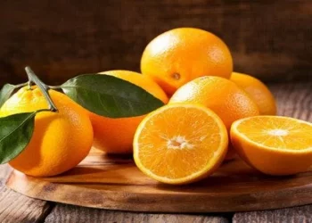الفواكه الطازجة وجودتها تجذب الشركات الأمريكية المغرب