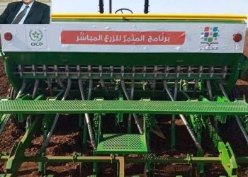 أزيد من 5.951 منصة تطبيقية خاصة بأشجار الزيتون منذ إطلاق مبادرة المثمر