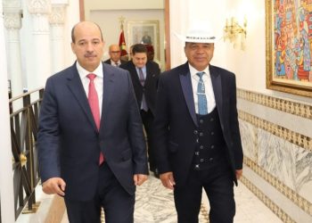 النعم ميارة يتباحث مع رئيس مجلس الشيوخ بجمهورية مدغشقر