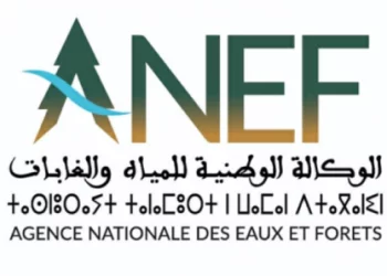 اعتماد مبادرة المغرب حول “حيوانات الساحل والصحراء ذات الحجم الكبير”