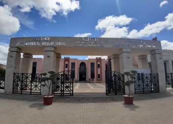 جامعة مولاي إسماعيل بمكناس تتميز في تفعيل التصميم المديري الجهوي للتكوين المستمر