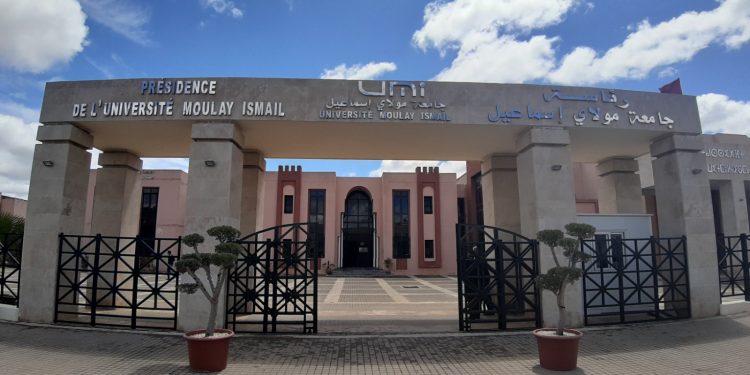 جامعة مولاي إسماعيل بمكناس تتميز في تفعيل التصميم المديري الجهوي للتكوين المستمر