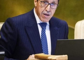 عمر هلال: لن يسمح المغرب أبدا بأن تصبح قضية الصحراء ساحة لمناورات جنوب أفريقيا.