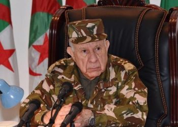 غباء شنقريحة يوصل إلى السجن بسبب تفاحتين