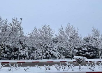 الثلوج تكسو مدينة إفران