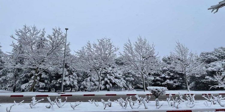 الثلوج تكسو مدينة إفران