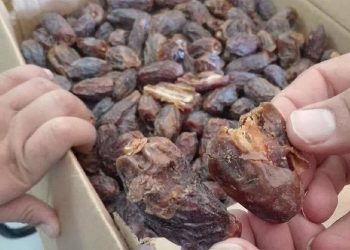 ضبط كمية من التمور الفاسدة بجرسيف