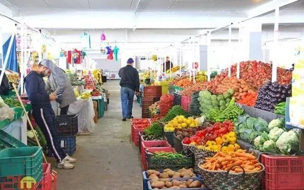 اللجنة الوزارية: تموين الأسواق جيد والأسعار معقولة بفضل إجراءات الحكومة