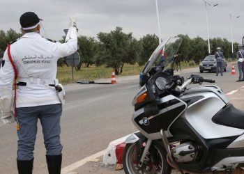 ضبط عملية تهريب أسماك ومواد تجميل قادمة من المناطق الجنويبة