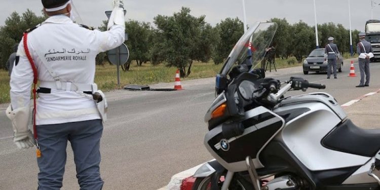 ضبط عملية تهريب أسماك ومواد تجميل قادمة من المناطق الجنويبة